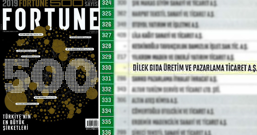 Fortune 500 Türkiye...